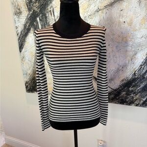 Theory Blue and Cream Fitted Knit Top